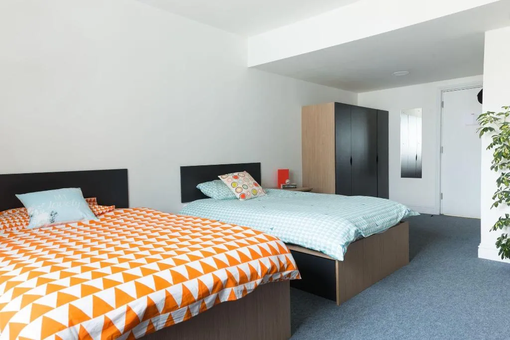 Room, The Montrose, Dublin