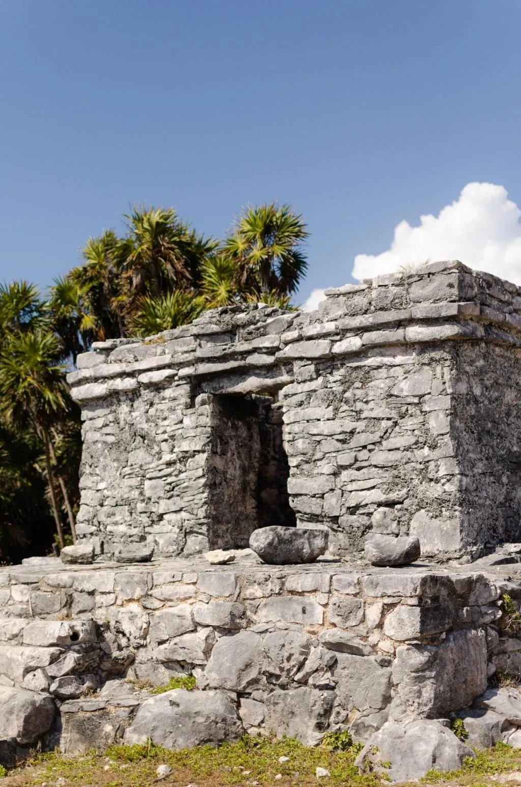Sports and Entertainment, The Radhoo Adults Only, Cancun Area