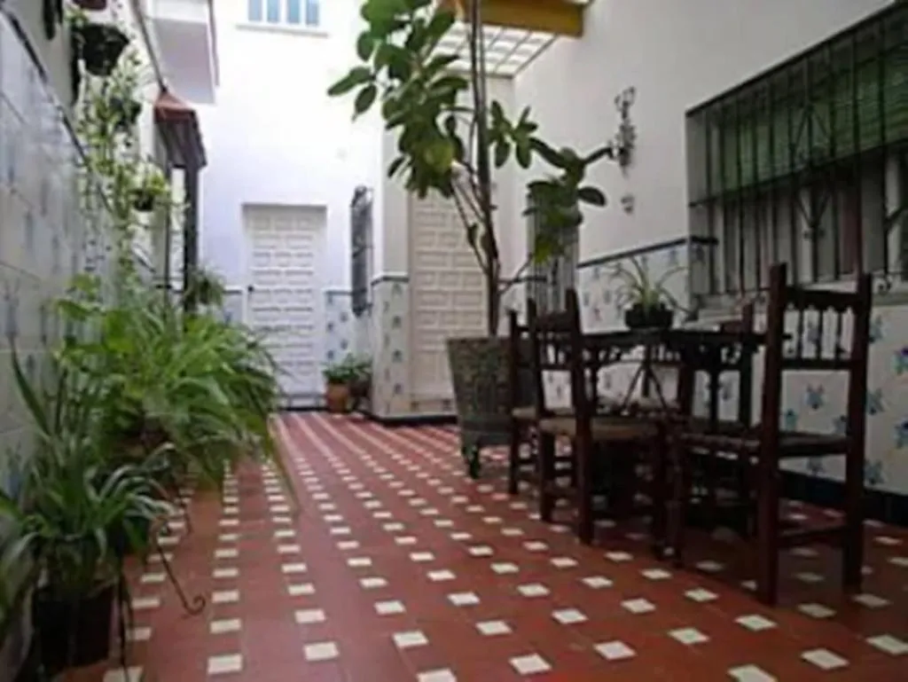 Terrace, Hostal Atenas, Seville