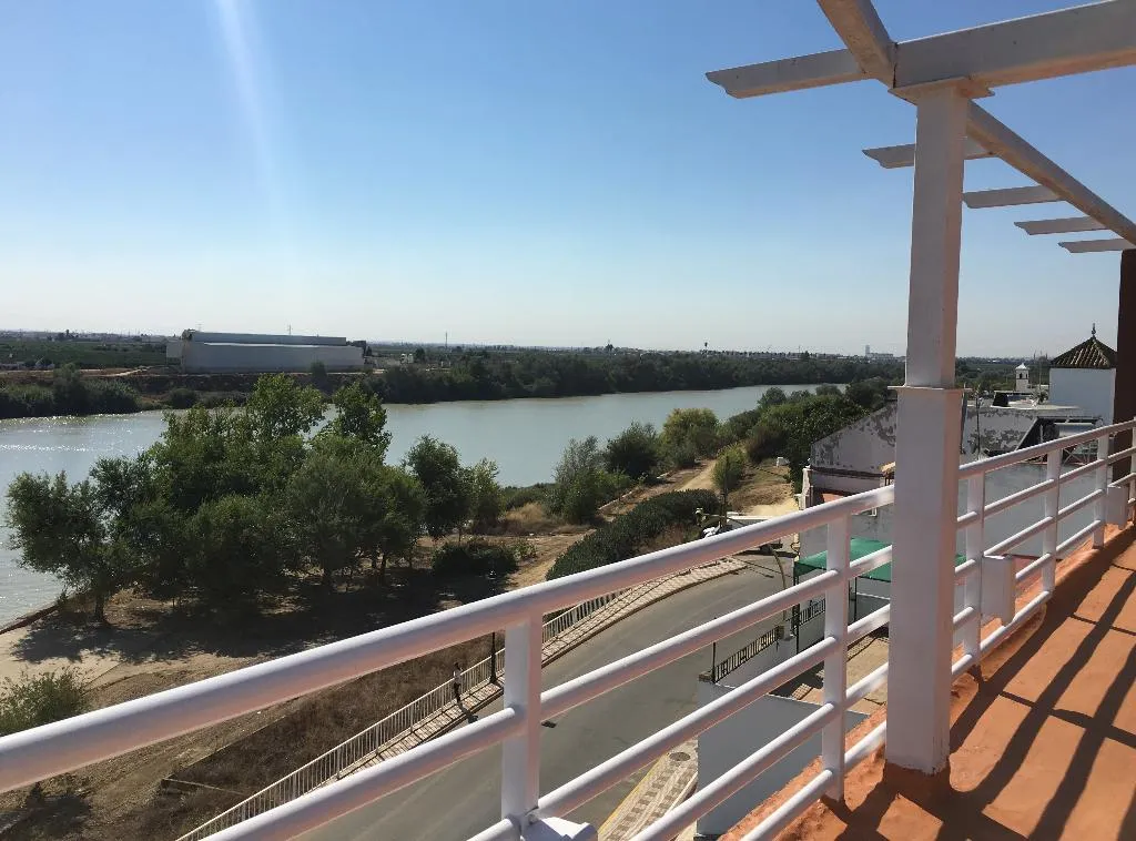 Terrace, Hostal el Ancla, Seville