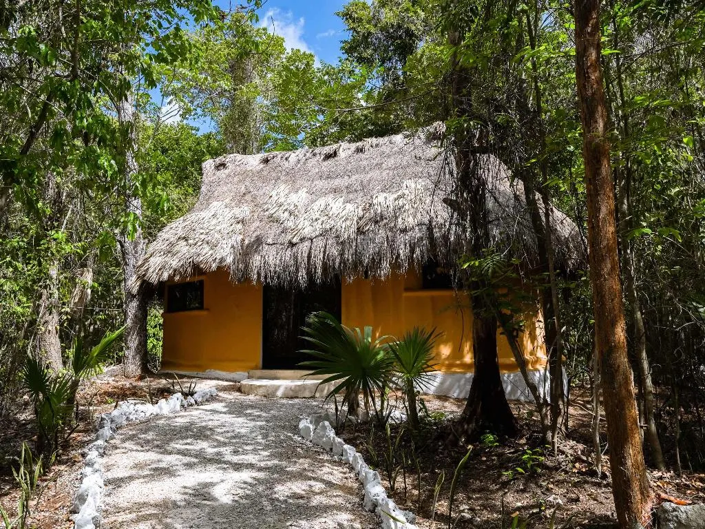 BUNGALOW STANDARD Room, Jolie Jungle, Cancun Area