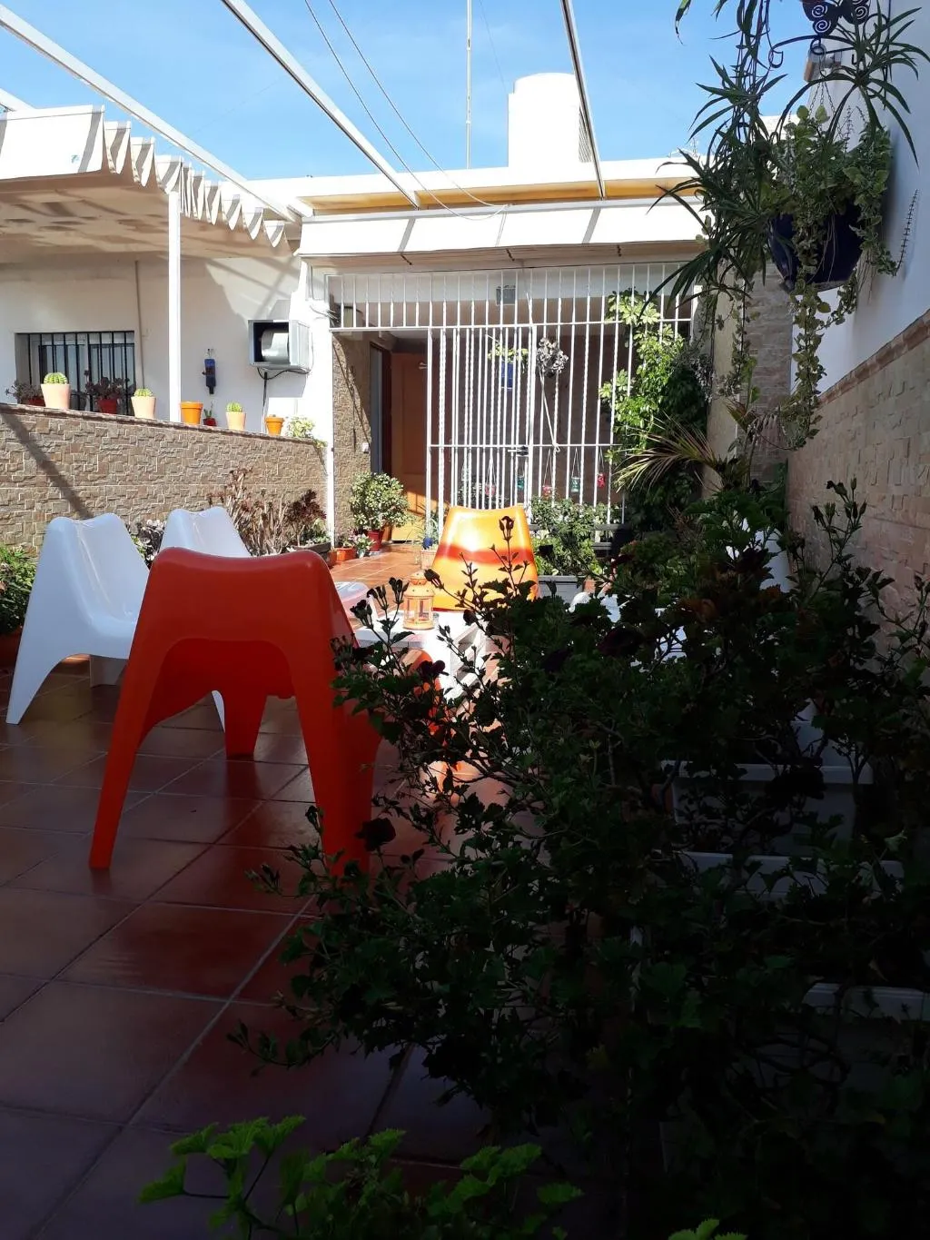 Terrace, Pensión Doña Trinidad, Seville