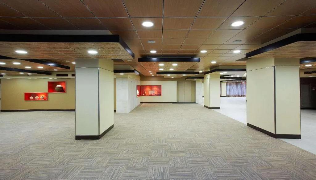 Conferences, The Level At Hotel Melia Castilla, Madrid