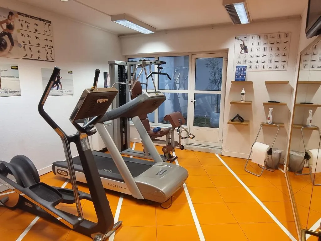 Sports and Entertainment, Novotel Firenze Nord Aeroporto, Florence