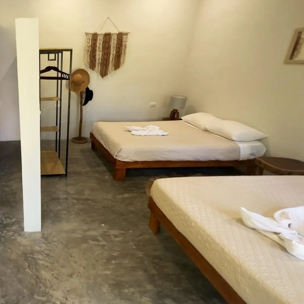 TWIN BASIC Room, Hotel Carlitos Tulum, Cancun Area