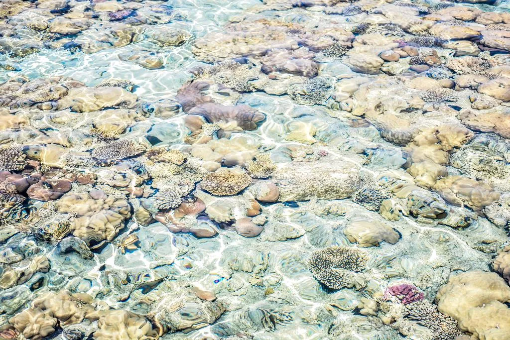 Beach, Dive Inn Resort, Red Sea Riviera