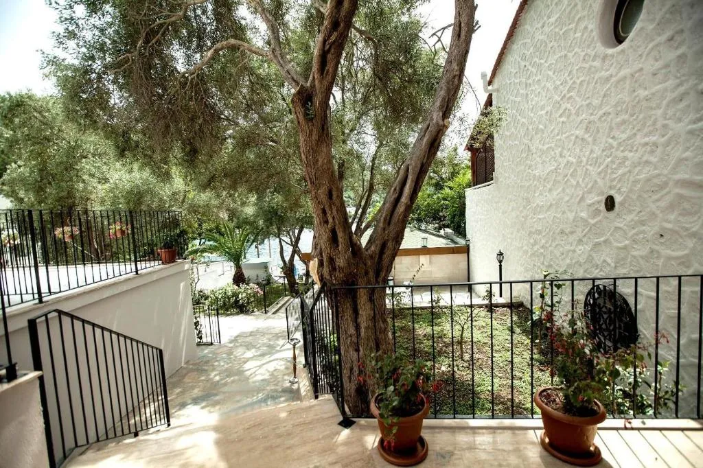 Room, Zena Hotel Bodrum, Bodrum