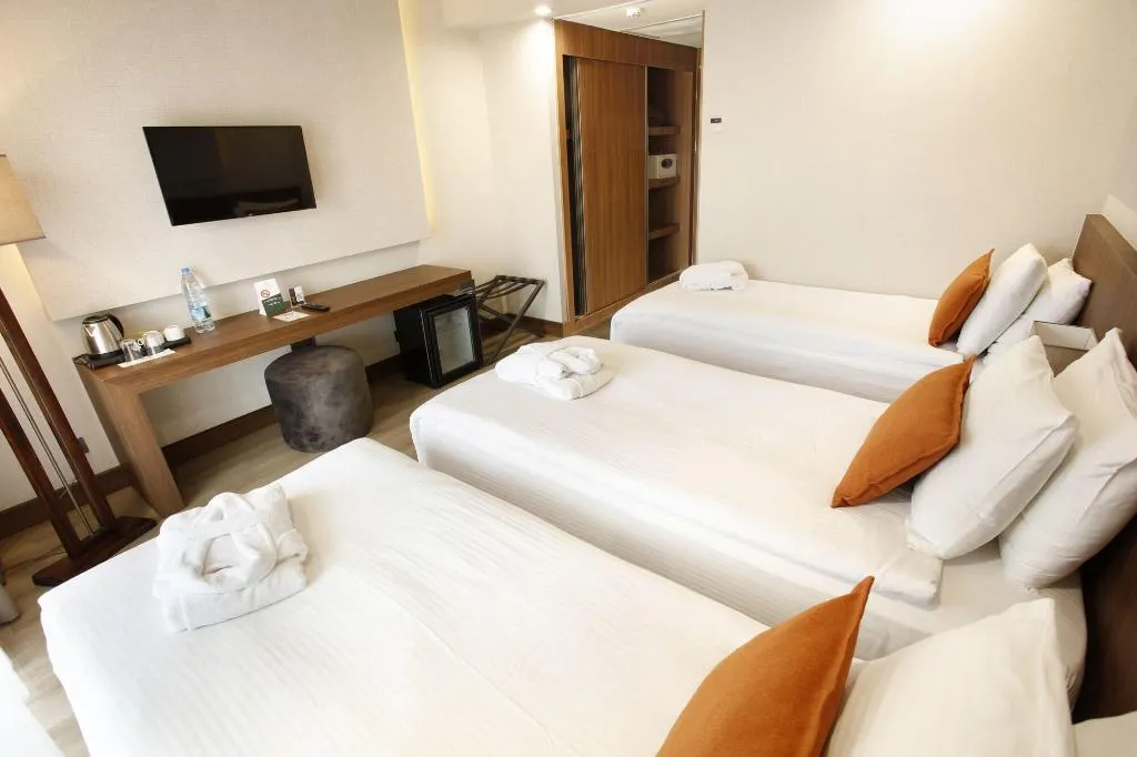 Room, Allia Thermal Health Spa Kazdaglara, Izmir