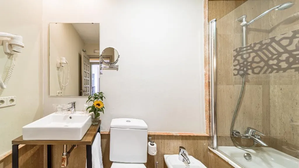 DOUBLE WITH DOUBLE BED Room, Hotel Boutique Casas de Santa Cruz, Seville