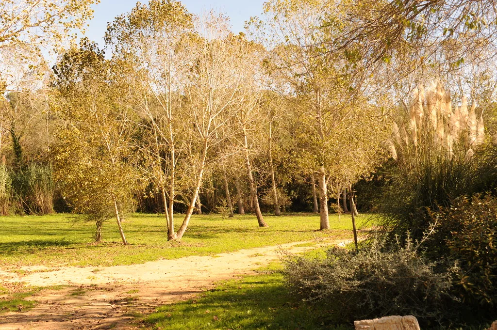 Sports and Entertainment, Hotel Can Darder, Costa Brava