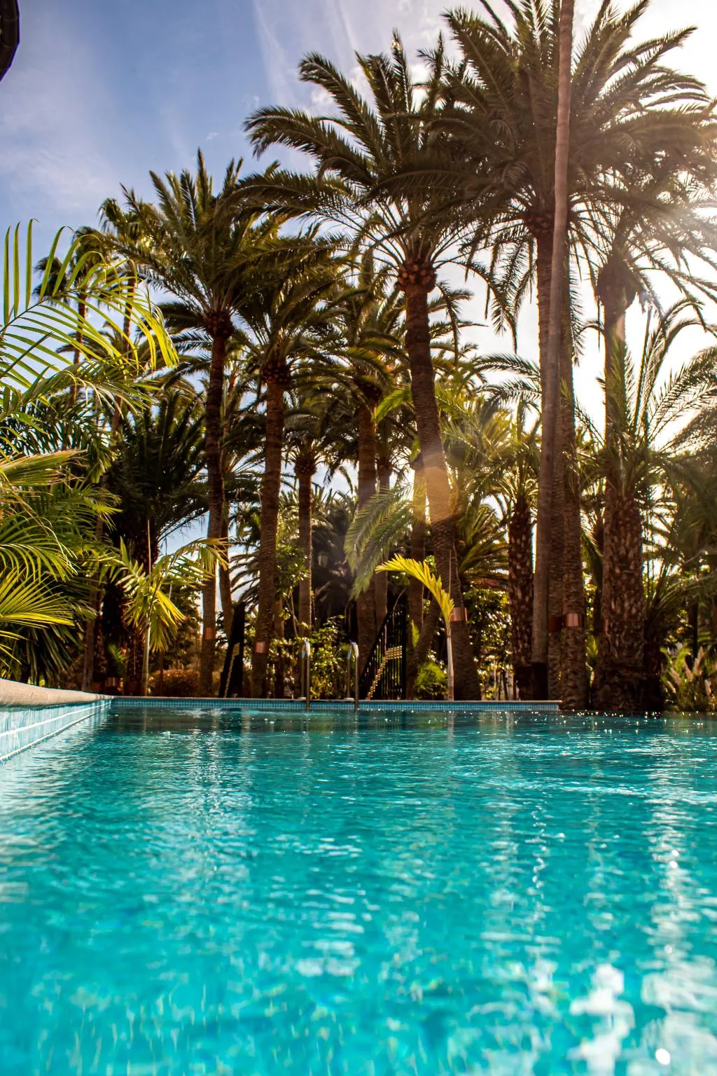 Pool, Villa Eden Apartamentos, Gran Canaria