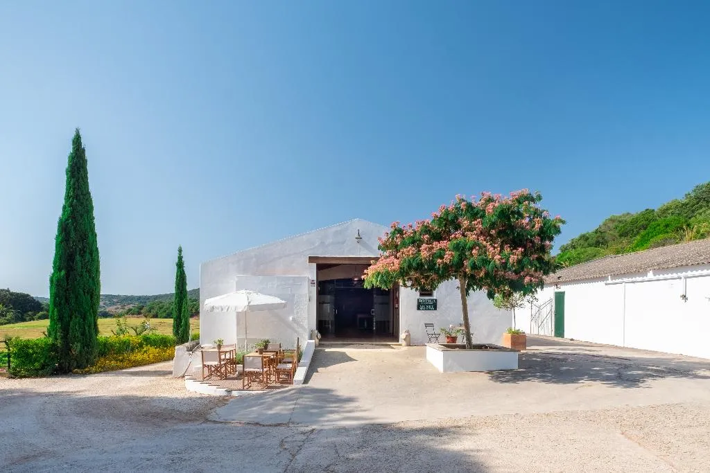 Sports and Entertainment, Hort Sant Patrici, Menorca
