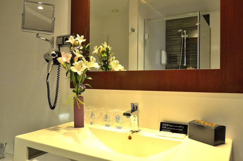 DOUBLE BASIC Room, Tach Madrid Airport, Madrid