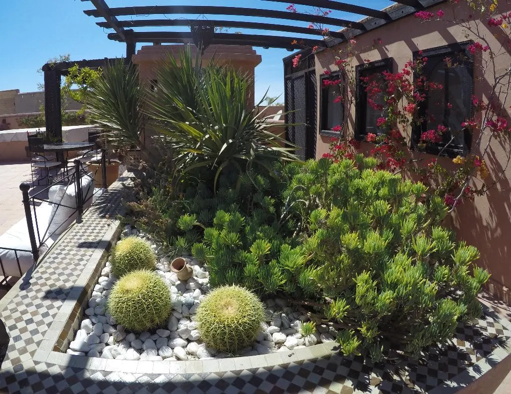 Terrace, Riad Dar Saad, Marrakech