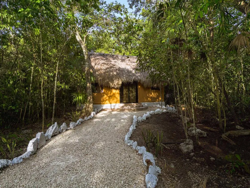 BUNGALOW STANDARD Room, Jolie Jungle, Cancun Area