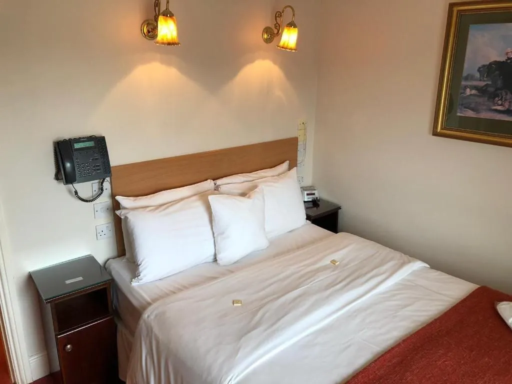 Room, Leeson Bridge Guesthouse, Dublin