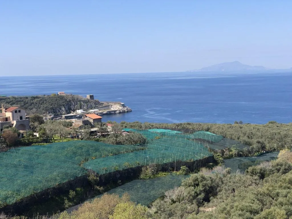 General view, Dania, Naples