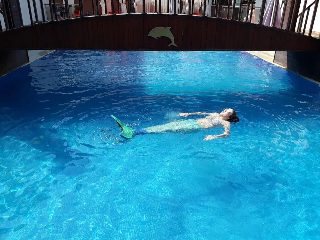 Pool, Dolphin Apart, Dalaman
