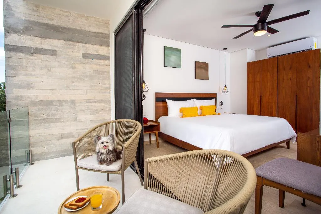 STUDIO BUSINESS Room, The Panoramic By Xperience Hotels, Cancun Area