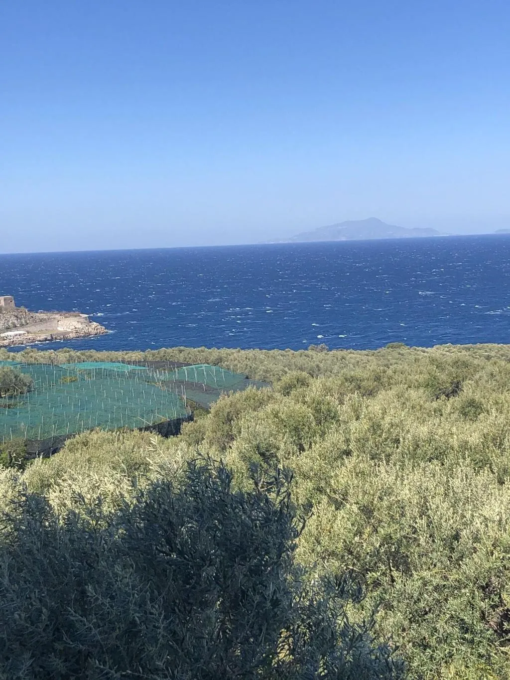 General view, Dania, Naples