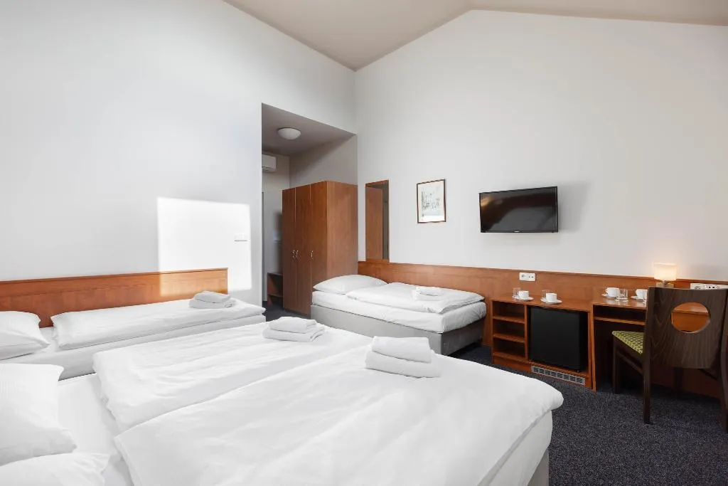 TRIPLE STANDARD Room, Beranek, Prague
