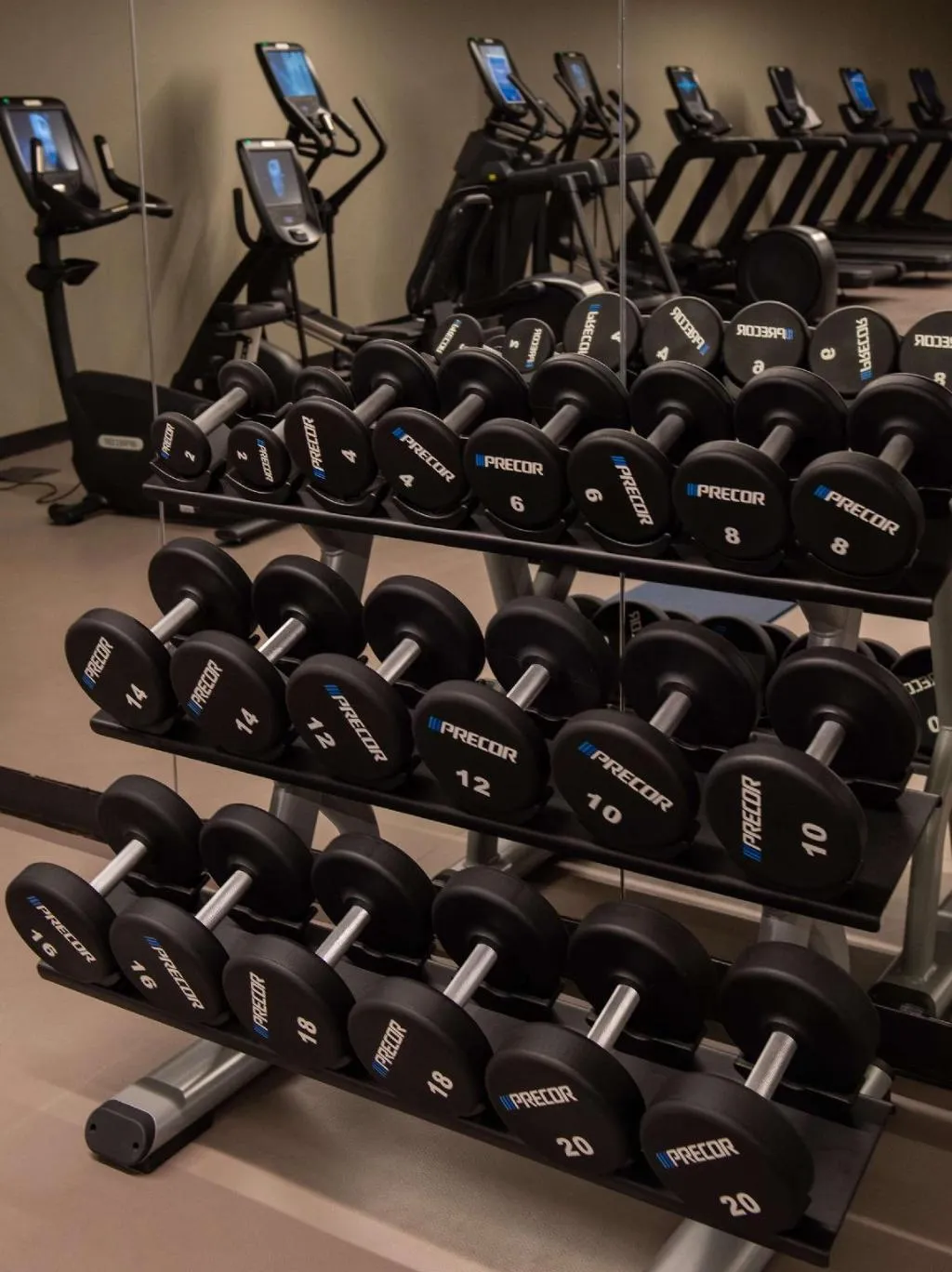 Sports and Entertainment, Hilton Porto Gaia, Porto