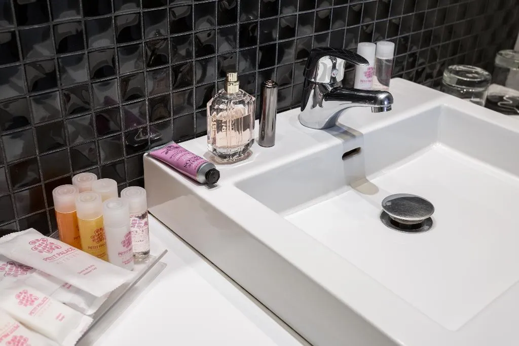 DOUBLE SINGLE USE STANDARD Room, Petit Palace Lealtad Plaza, Madrid