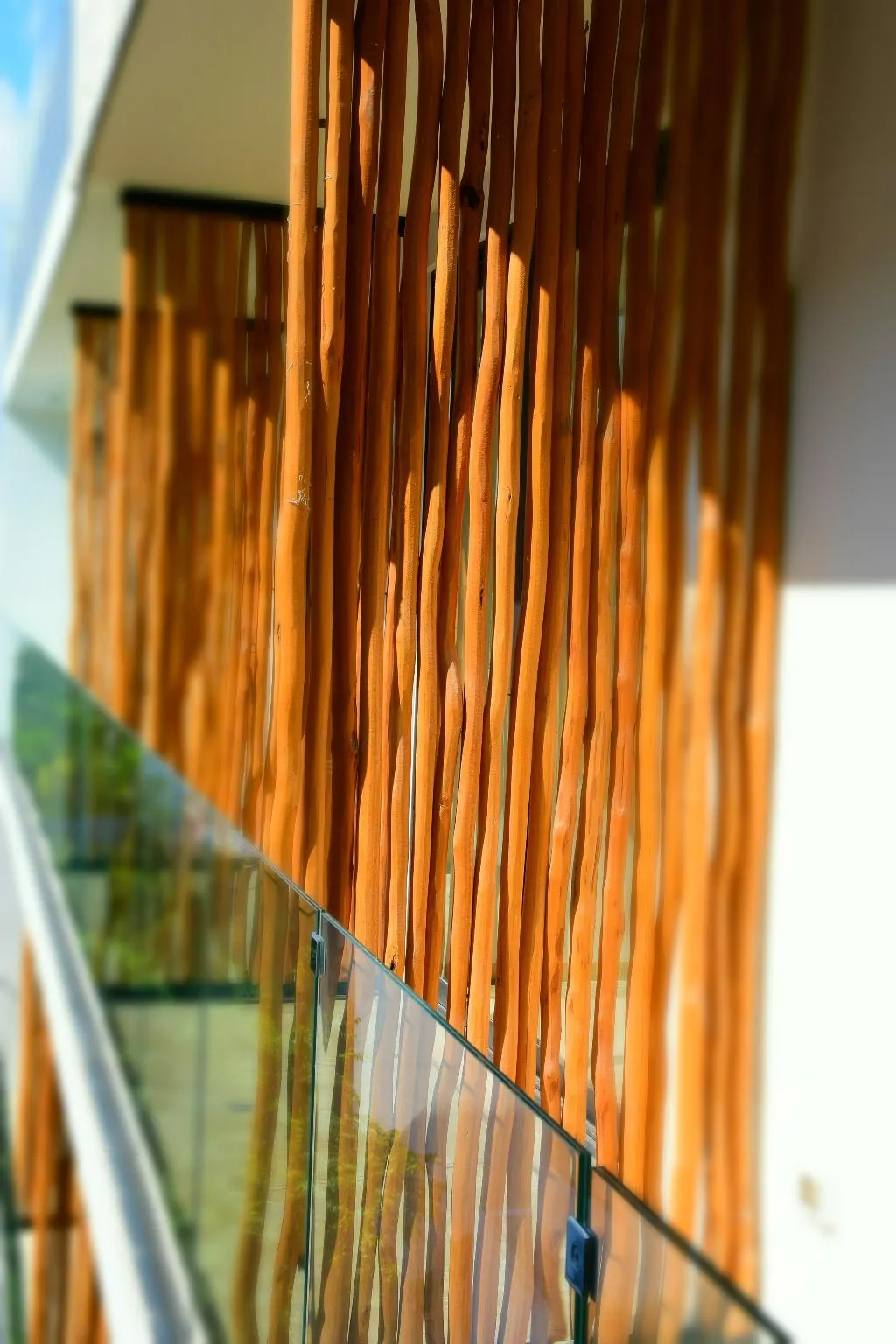 Terrace, The Shore At 46th, Playa Del Carmen