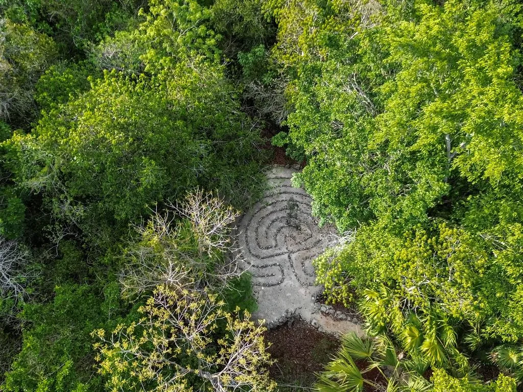 General view, Jolie Jungle, Cancun Area