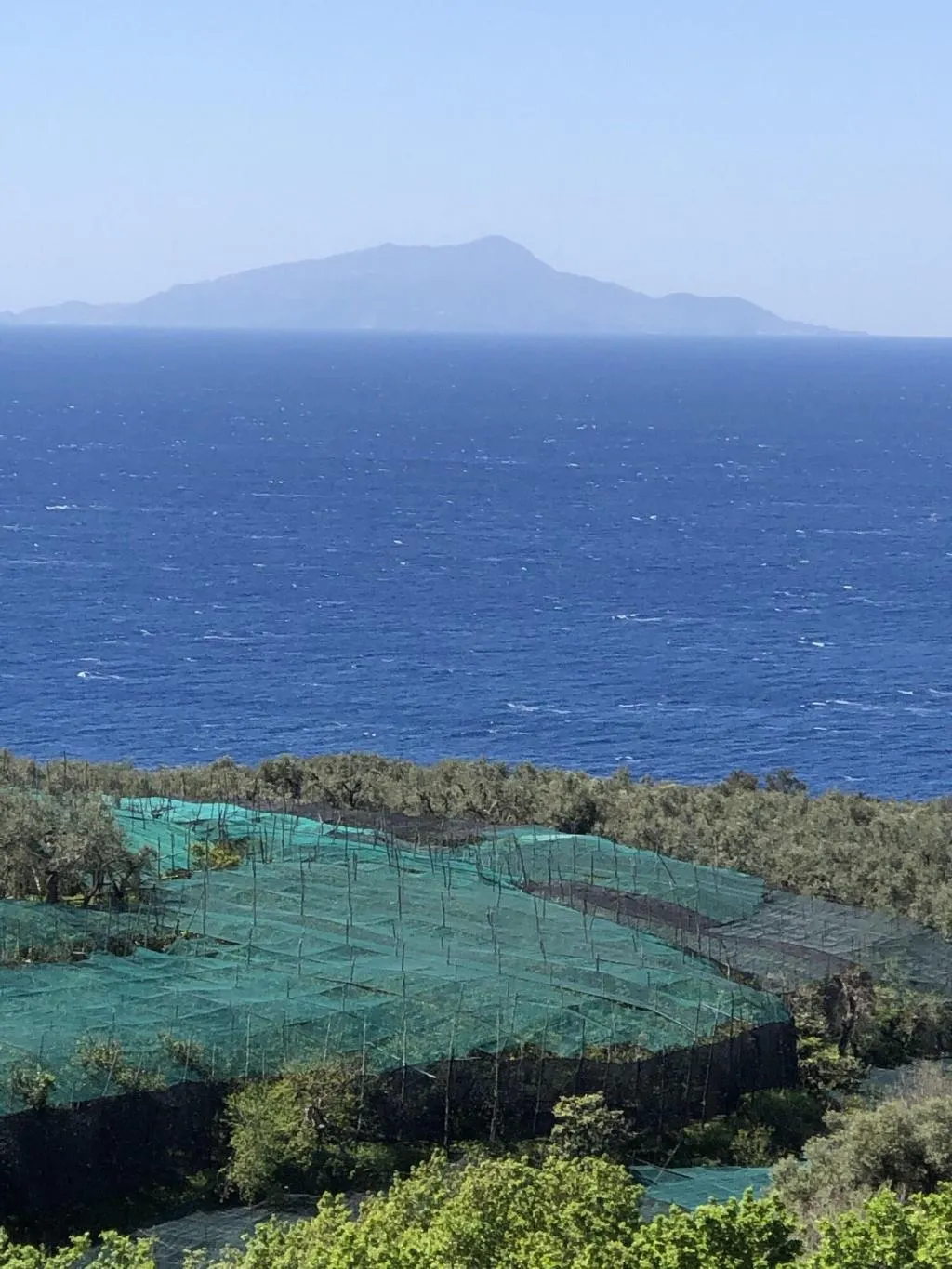 General view, Dania, Naples