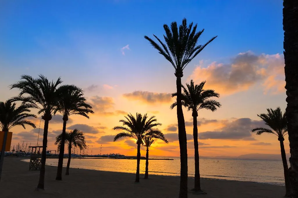 Beach, Paradiso Garden, Majorca