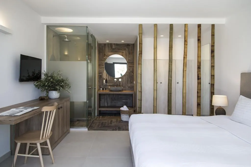 Double or Twin CLASSIC Room, Ftelia Bay Boutique Hotel, Mykonos