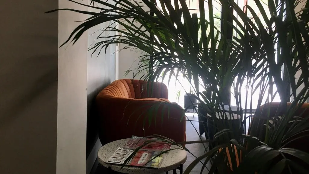 Lobby, B&B Mare de Deu Jardines del Turia, Valencia