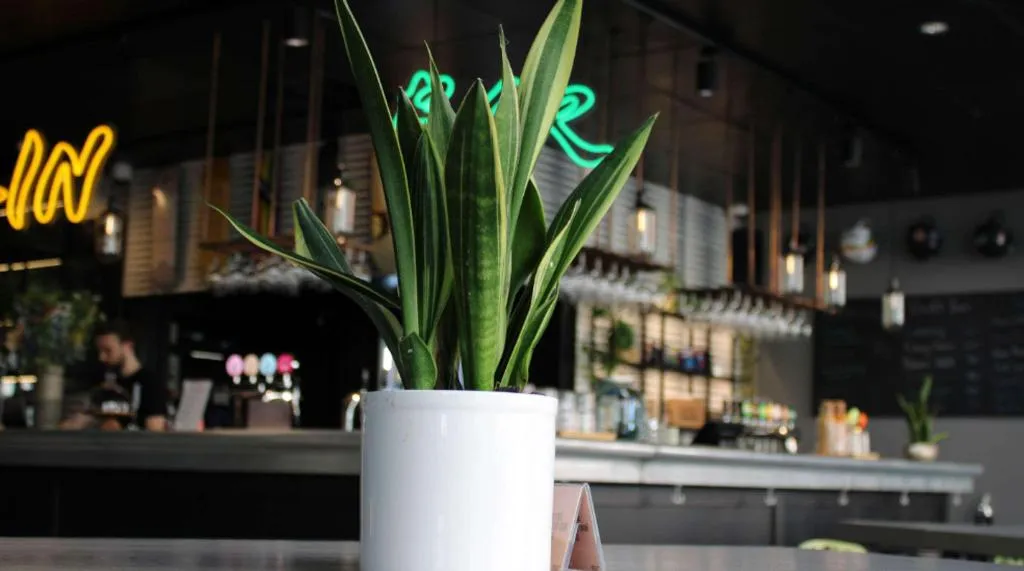 Bar, Comfort Hotel Vesterbro, Copenhagen