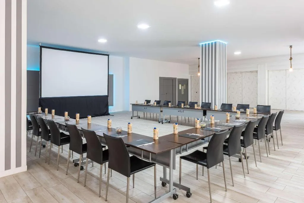 Conferences, Hotel Madrid Chamartín Affiliated by Meliá, Madrid