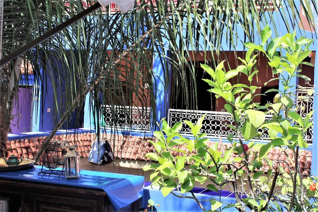 Terrace, Riad Alamine, Marrakech
