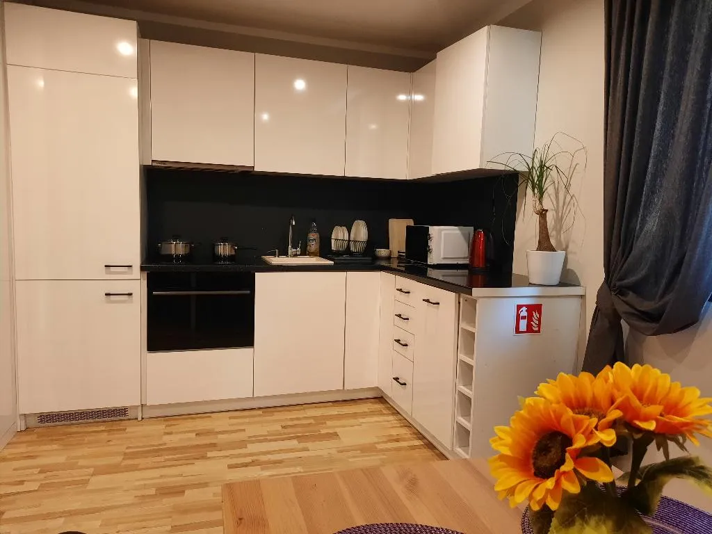 APARTMENT WITH DOUBLE BED Room, Lorf Hostel&Coffee, Krakow