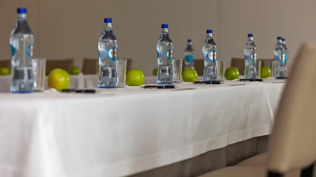 Conferences, Douro Royal Valley Hotel & Spa, Porto