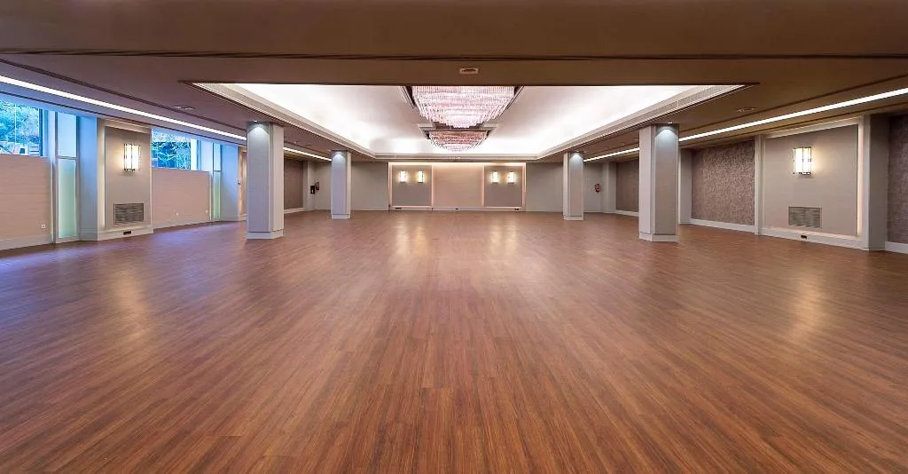 Conferences, The Level At Hotel Melia Castilla, Madrid