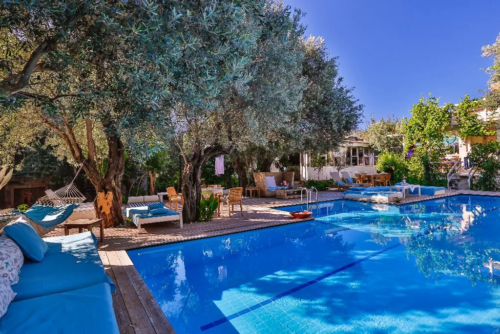 Pool, Oyster Residences, Dalaman