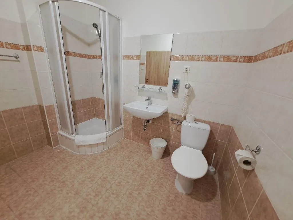 Double or Twin KING BED ONE BEDROOM  Room, Legie, Prague