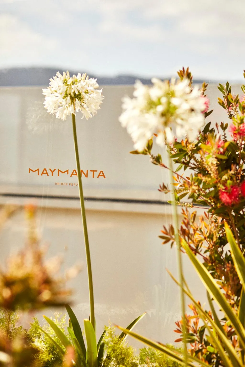 Terrace, Grand Hyatt Barcelona, Barcelona
