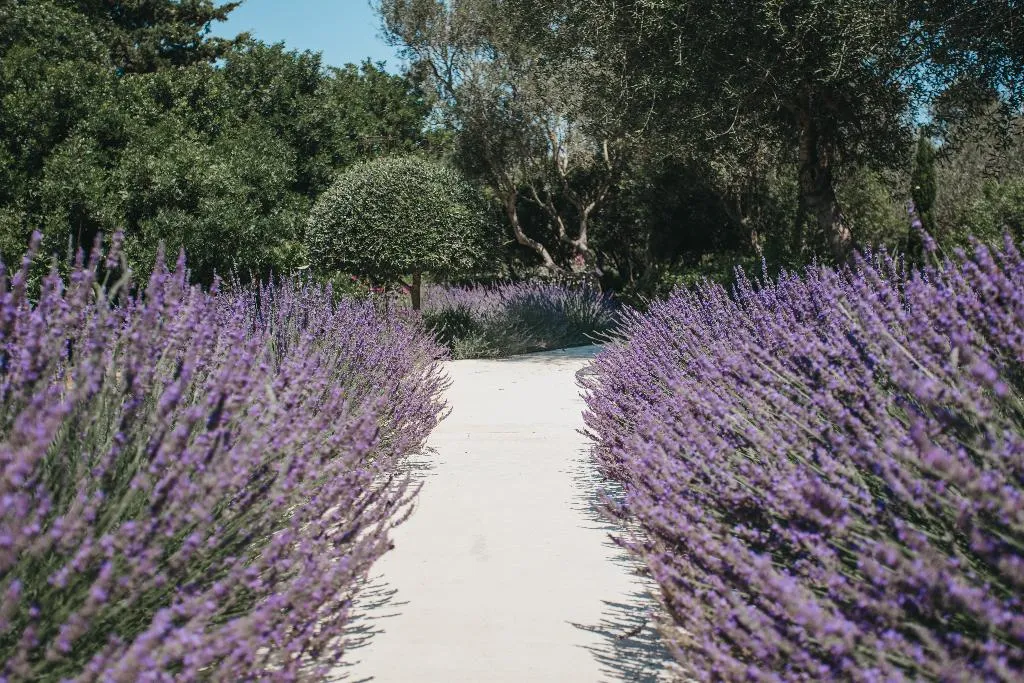 General view, Agroturismo Malbuger Nou Menorca Adults Only, Menorca