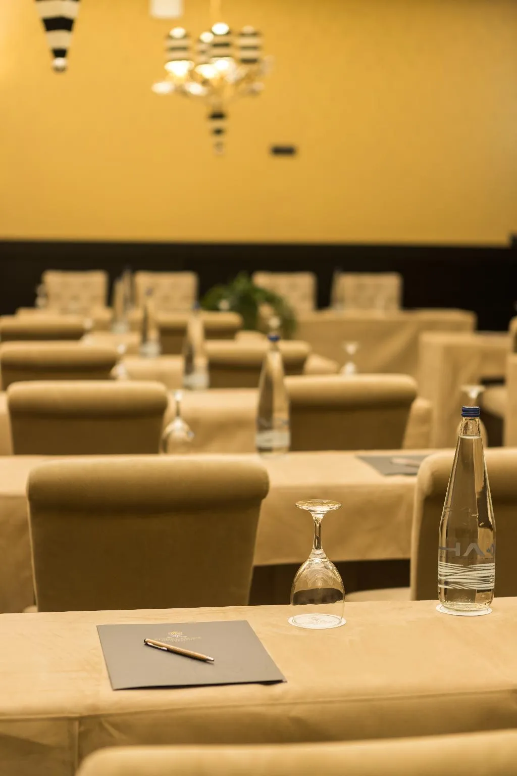 Conferences, Kyniska Palace Conference & Spa, Athens