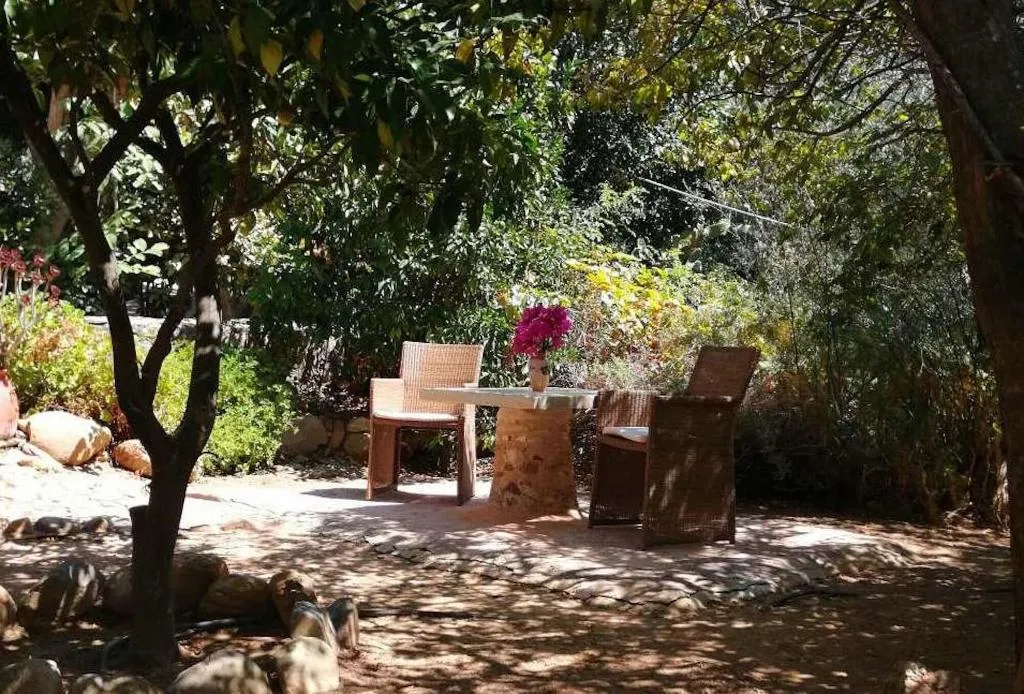 Room, Elia Traditional Hotel & Spa, Crete