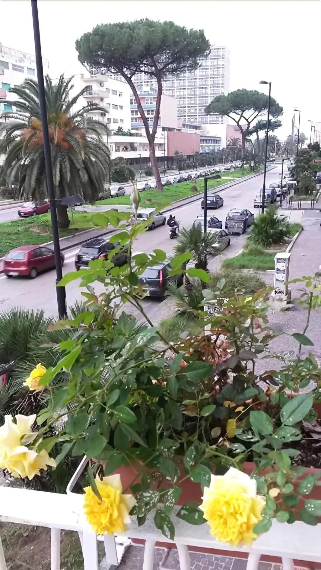 General view, Anthea B&B, Naples