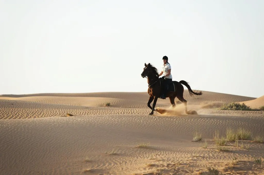 Sports and Entertainment, Al Maha, a Luxury Collection Desert Resort & Spa, Dubai