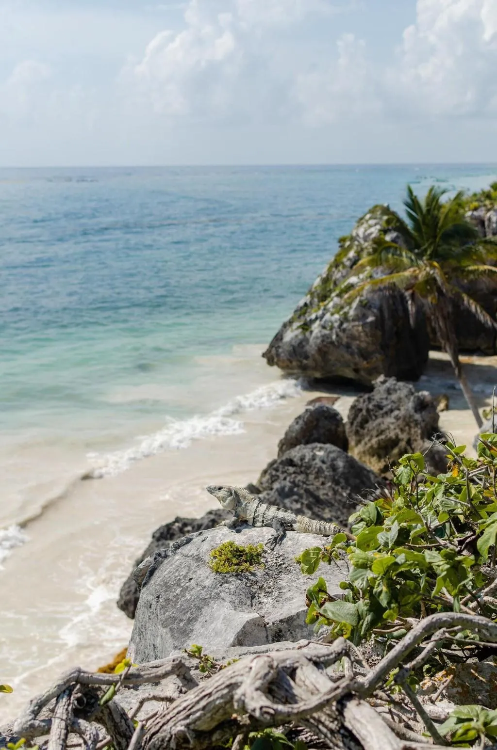 General view, Encantada Tulum, Cancun Area