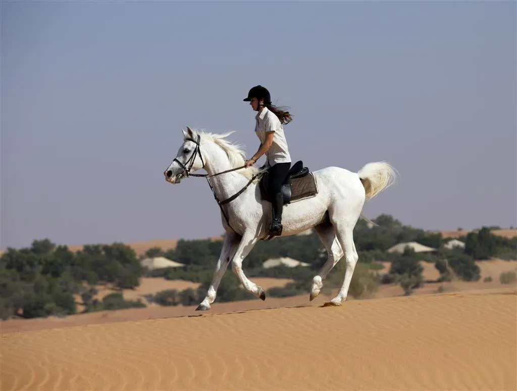 General view, Al Maha, a Luxury Collection Desert Resort & Spa, Dubai