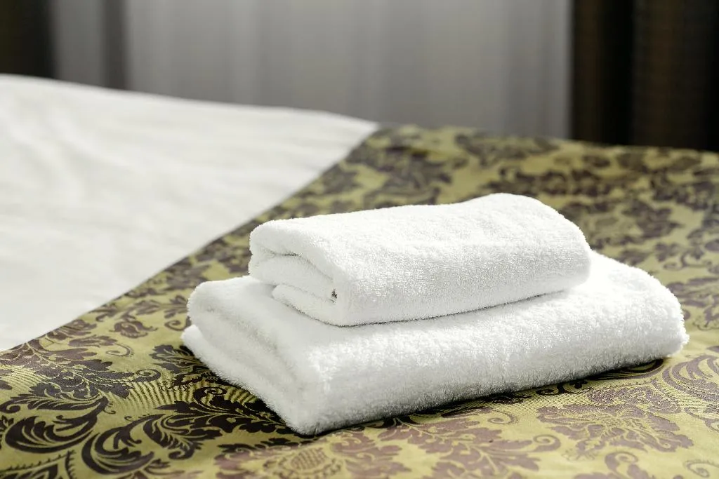 Double or Twin STANDARD Room, Superior Hotel, Prague
